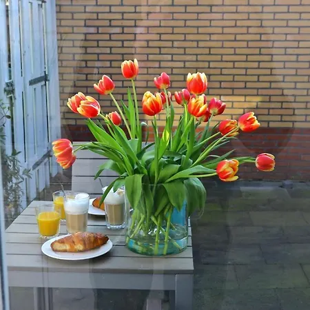 Eb * Egmond aan Zee